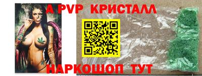 крисы Кулебаки