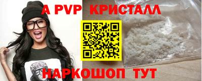 крисы Кулебаки