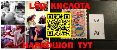 крисы Кулебаки