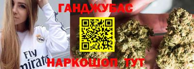 крисы Кулебаки