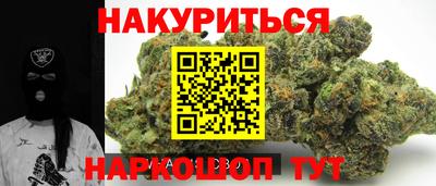 крисы Кулебаки