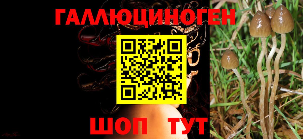 Псилоцибиновые грибы ЛСД  Вход с VPN  Гусиноозёрск 