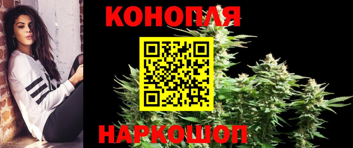 Бошки Шишки LSD WEED  Шишки марихуана конопля  Каннабис тримм  Гусиноозёрск  Вход с VPN 